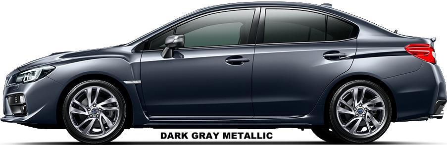 Dark Gray Metallic