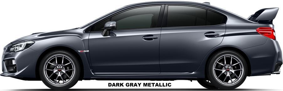 Dark Gray Metallic